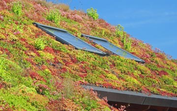 Sutton Lane Ends living roof systems